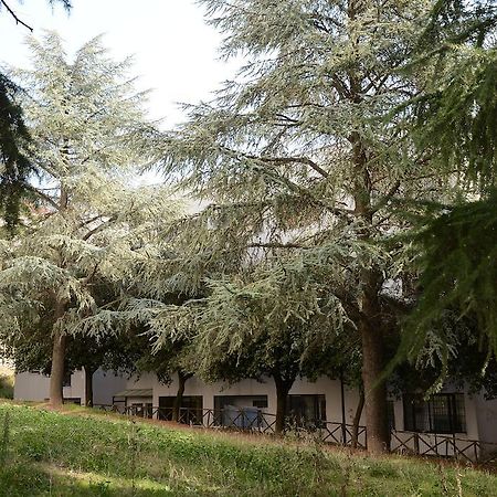 B&B Europa Ποτέντσα Εξωτερικό φωτογραφία